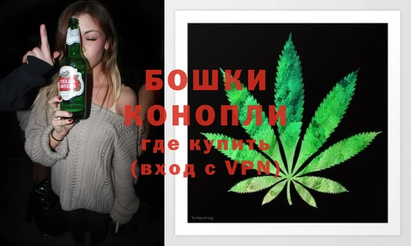 прущие грибы Балабаново