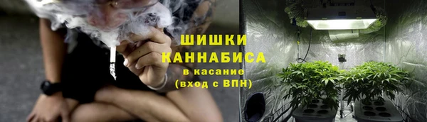 сатива Арсеньев