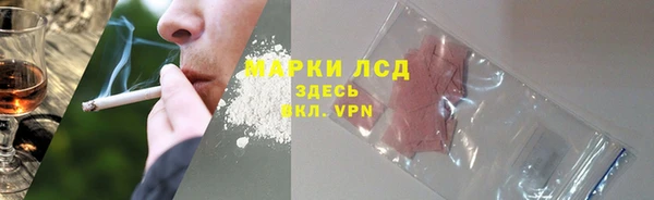 сатива Арсеньев