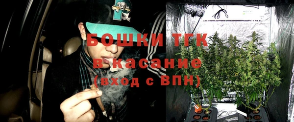 сатива Арсеньев