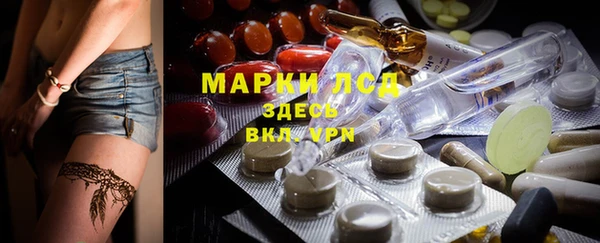 каннабис Аркадак
